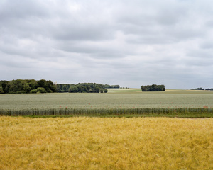 Ambroise Tézenas - 2