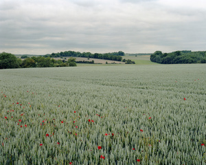 Ambroise Tézenas - 3